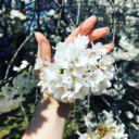 chimericallie avatar