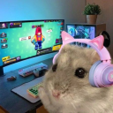 chimkinnoodlesoup avatar