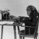 chimp-prolly-not-typing-hamlet avatar