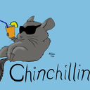 chinchilln-like-a-villain-b-blog avatar