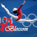 chinesegymnastics-blog avatar