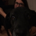 chinfinitesadness avatar