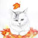 ching-illustration avatar