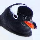 chinstrapphotography avatar