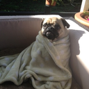 chinupcupcake avatar