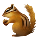 chipmunk-anon avatar