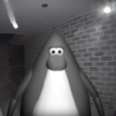 chipotluck avatar