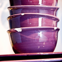 chipped-plates avatar