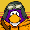 chippypigeon avatar