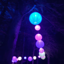 chirp-a-chirp avatar