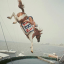 chloea-reynolds avatar