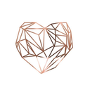 chloealiciarose avatar