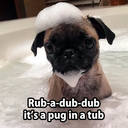 chocablok3000 avatar