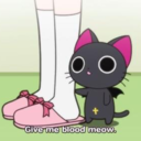 chocobosxonxfire avatar