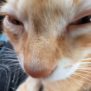 chocolate-churros avatar