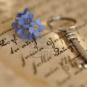 chocolate-library avatar