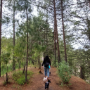 chocolateandmusic avatar