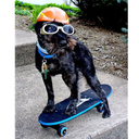 chocolatebeyonce avatar