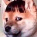 chocolatefrogsinspace avatar