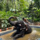 chocolatefrostiesandfries avatar