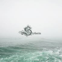 chocolateispink avatar