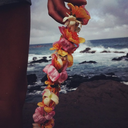 chocolatekale-blog avatar