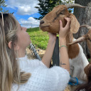 chocolatekisses8 avatar