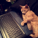 chocolatemace455 avatar