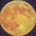 chocolatemaltshake avatar