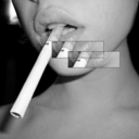 chocolatepandabouquet avatar