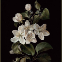 chocolatepieexpertcloud avatar