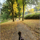 chocolateraine avatar