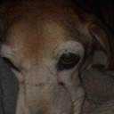 chocolattelover avatar