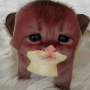 chocostrashbin avatar