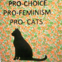 choicefeminismcats avatar