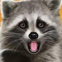 choicesraccoon avatar