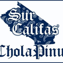 cholapinupla avatar