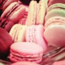 chomp-chew-blog avatar