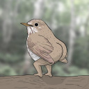 chonquee-monquee avatar