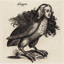 chooklover2000 avatar