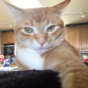 choosingnamesmakesmenervous avatar