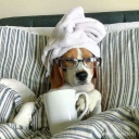 choppedpaintercowboy avatar