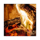 choppedwombattimetravel avatar