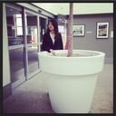 choppingonions avatar