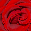 chopstickstheme avatar