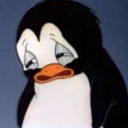 choquesestelares avatar