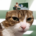 choreographyandmerriment avatar