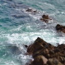 choreophiliaa avatar