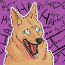 chortling-dingo avatar