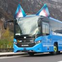 chosenbusdriver avatar